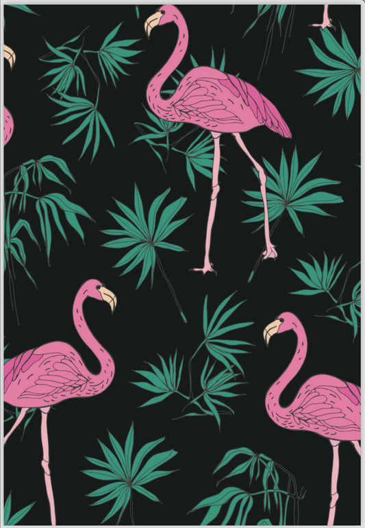 Flamingos